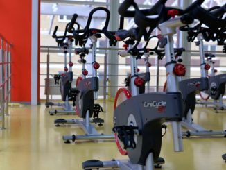 b2b-musculation